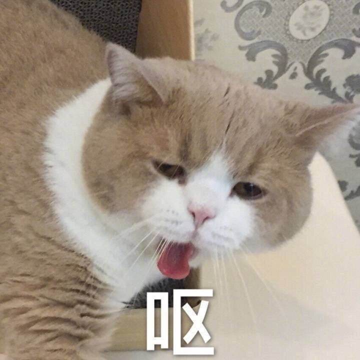 呕吐,呕吐的拼音