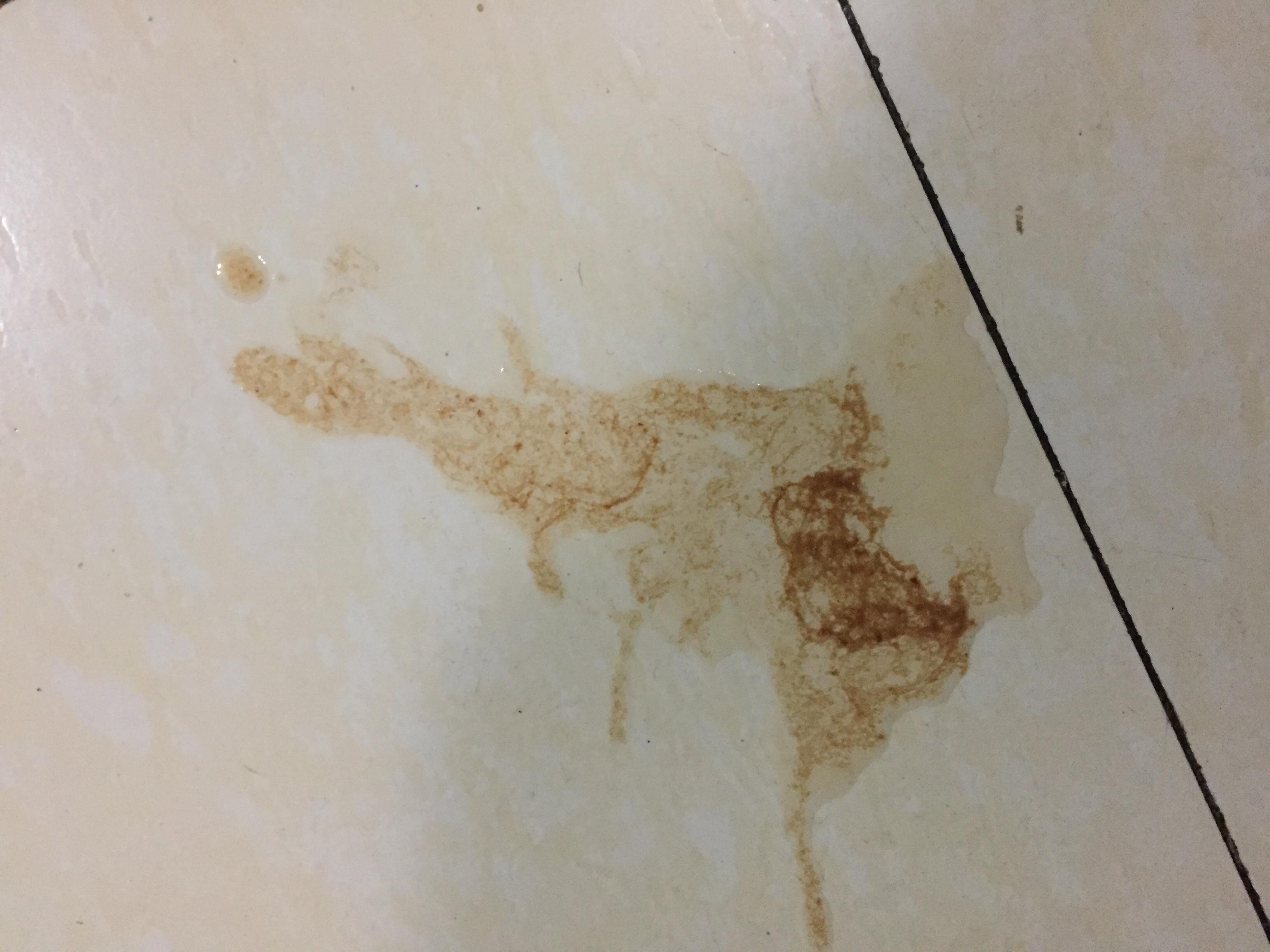 呕吐,呕吐的拼音