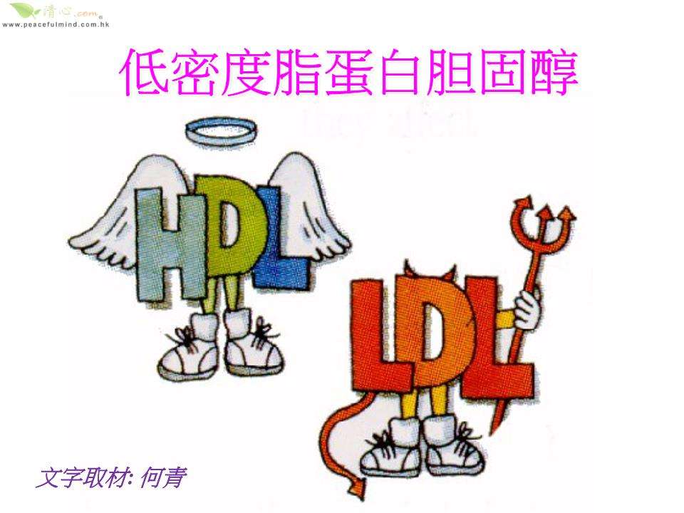低密度脂蛋白偏高低密度脂蛋白偏高怎么调理