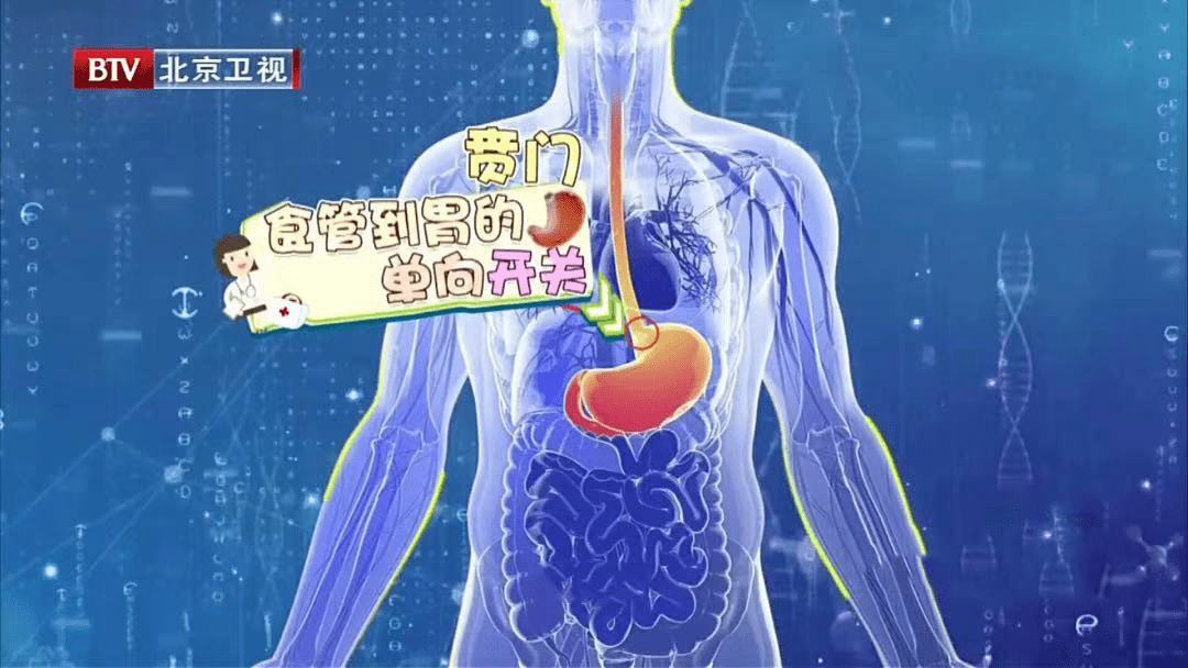 胃酸反流是什么原因造成,胃酸反流是什么原因造成怎么办