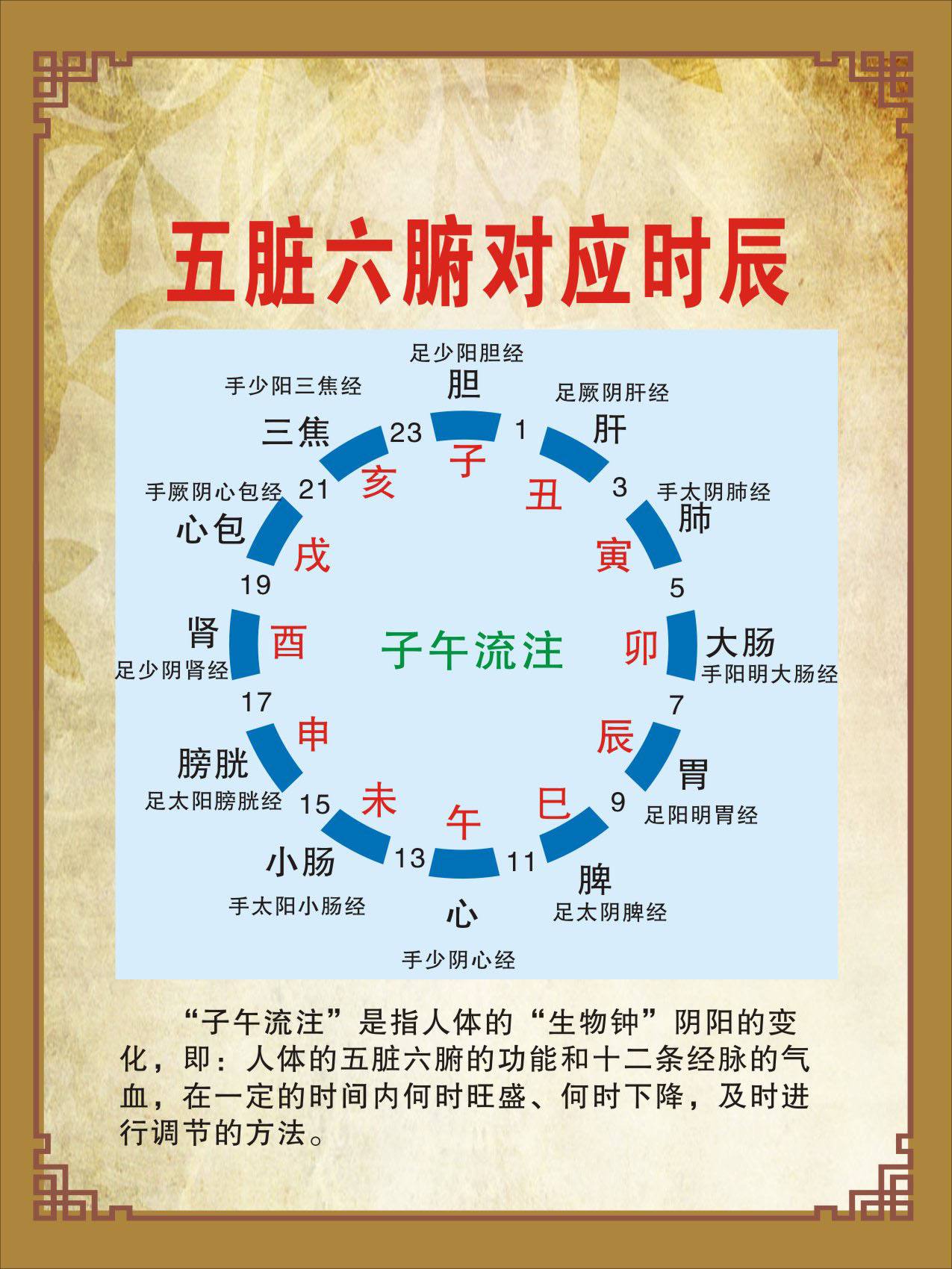健康养生知识,中老年人健康养生知识
