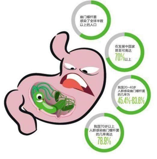 幽门螺旋杆菌治疗好还会被传染吗,幽门螺旋杆菌传染吗可以治好吗