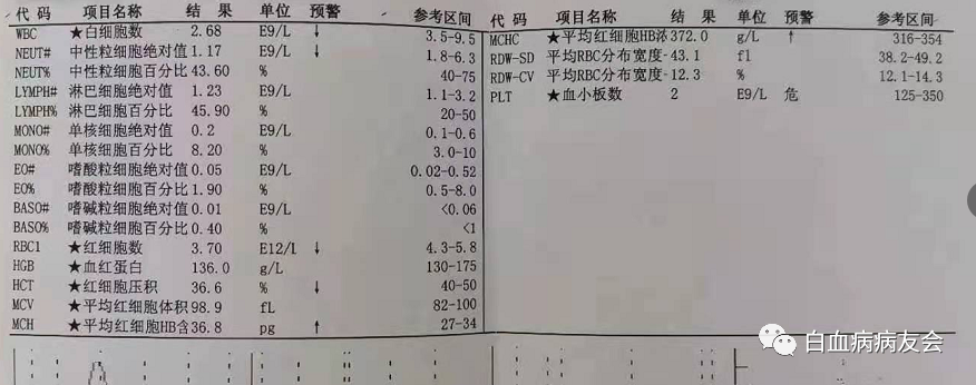 倪海厦治疗血小板低倪海厦治疗血小板方子