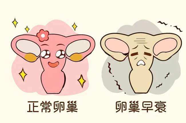 卵巢卵巢早衰最佳恢复方法
