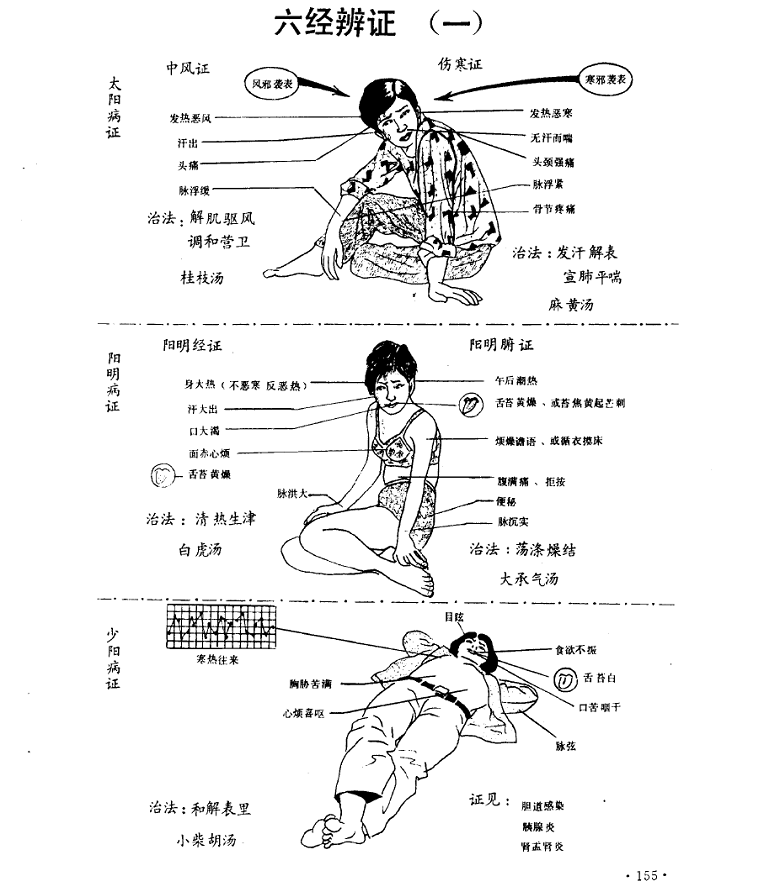 倪海厦引心火入小肠中成药倪海厦引心火入小肠