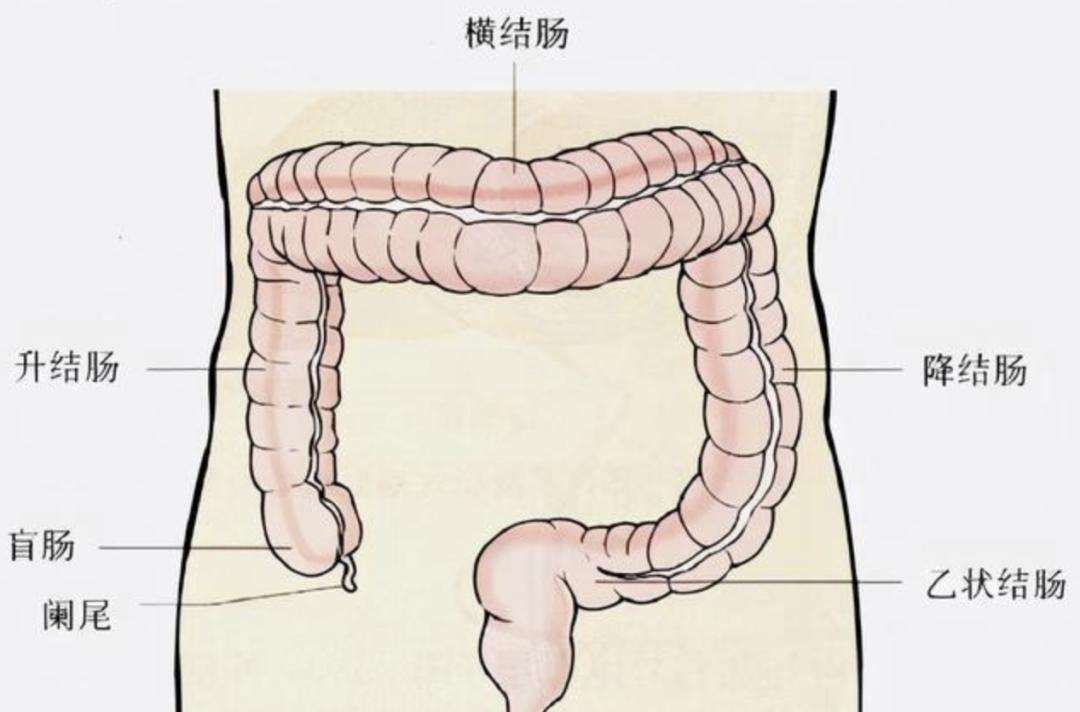 右上腹部隐痛,男性右上腹部隐痛的原因