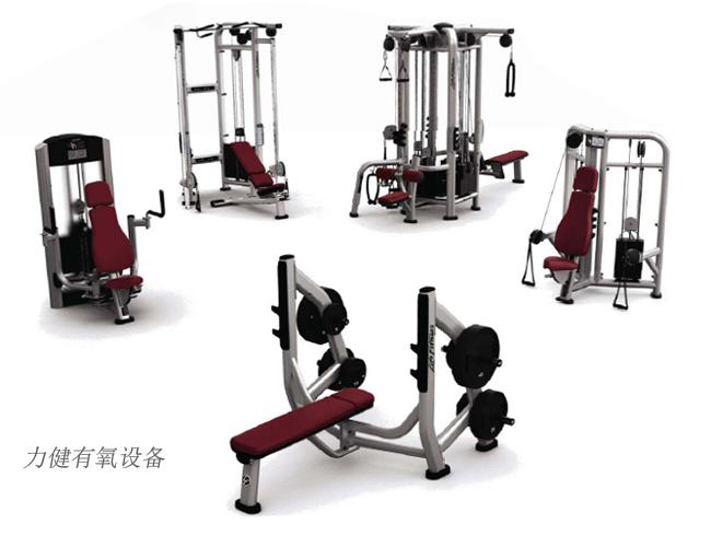 fitness健身器械的简单介绍