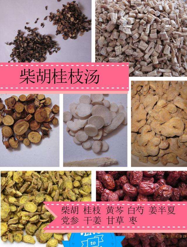 关于倪海厦柴胡桂枝汤医案的信息