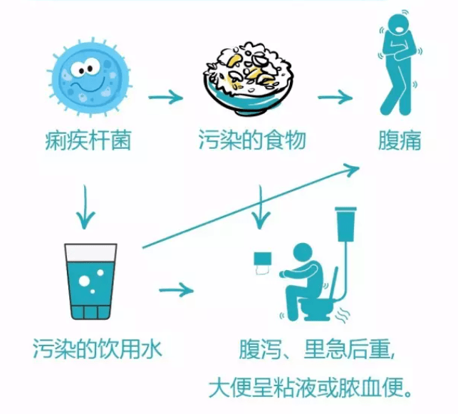 细菌性痢疾细菌性痢疾的粪便特点