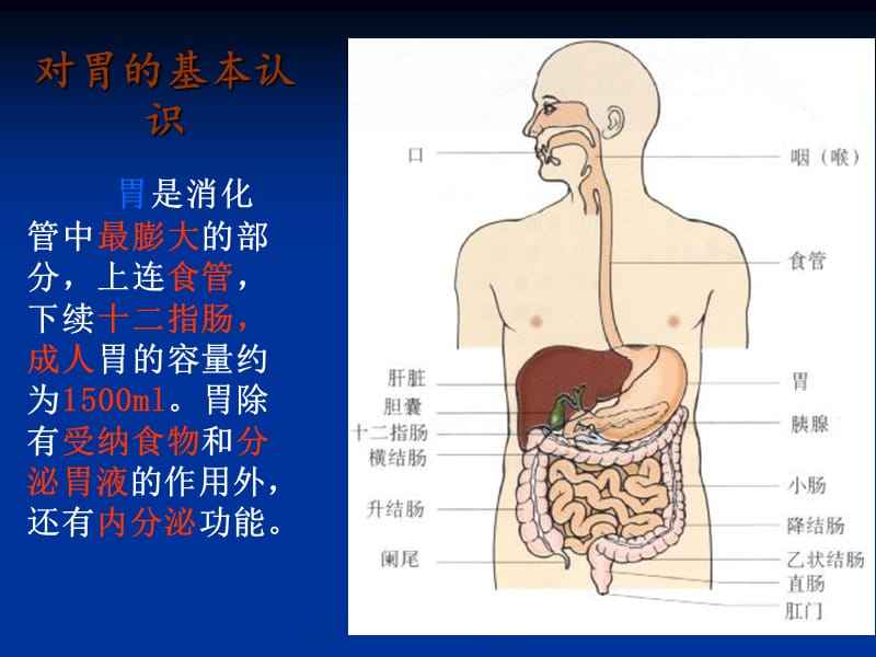 胃胃苏颗粒的功效和作用