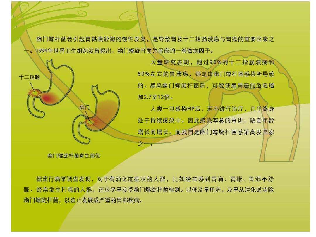 幽门螺旋杆菌感染是什么原因,幽门螺旋杆菌感染是什么原因引起的