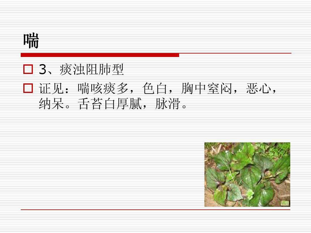 倪海厦舌苔白厚腻案例,倪海厦治疗舌苔厚黄的经方