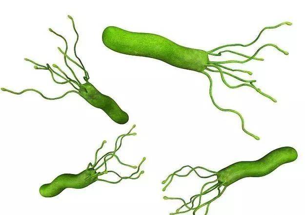 幽门螺旋杆菌的症状吃什么药幽门螺旋杆菌有什么症状吃什么药