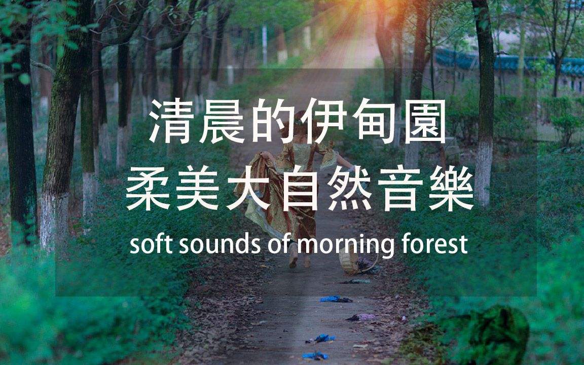 睡眠音乐在线听大自然的声音软件,睡眠音乐在线听大自然的声音