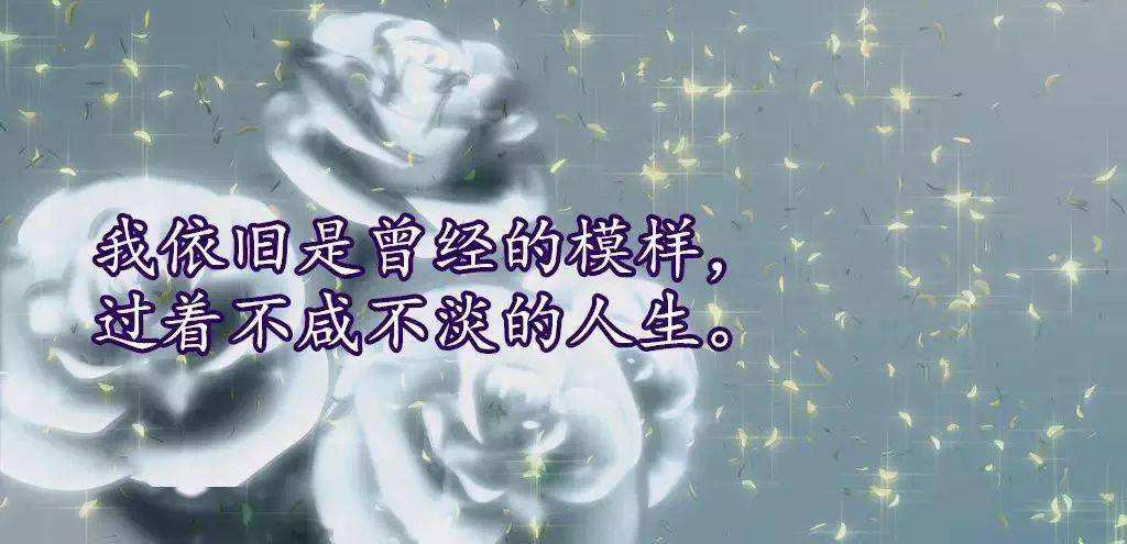 心情不好睡不着的句子发朋友圈,半夜心情不好睡不着发朋友圈的短句子
