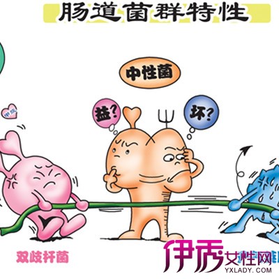 肠道疾病肠道疾病传播途径