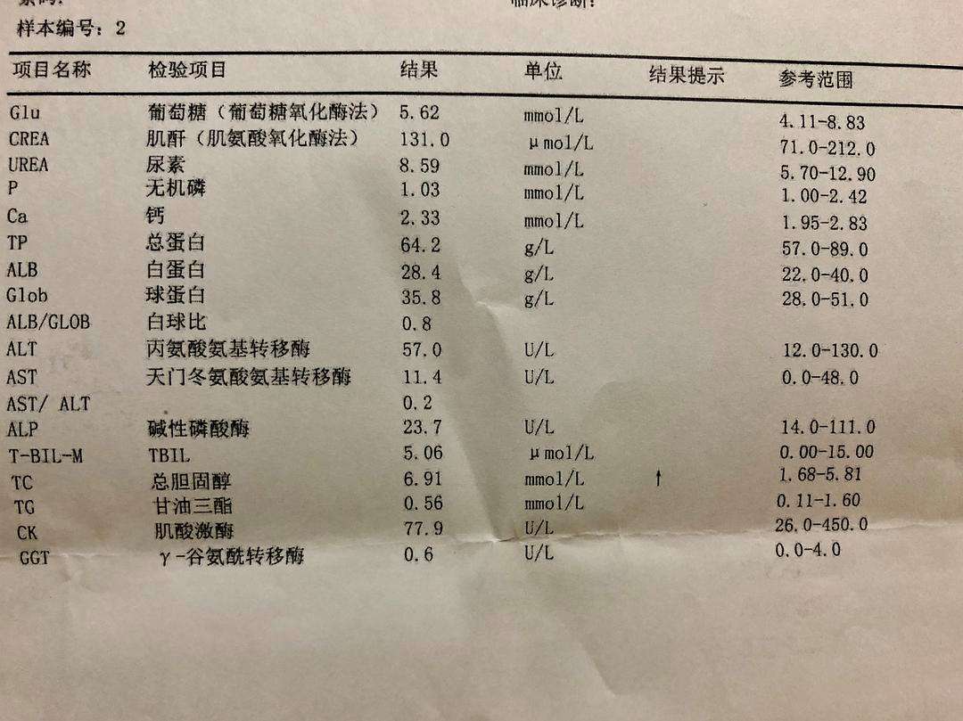总胆固醇高,总胆固醇高有什么危害