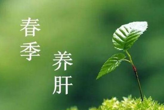 春季养生,春季养生食谱有哪些