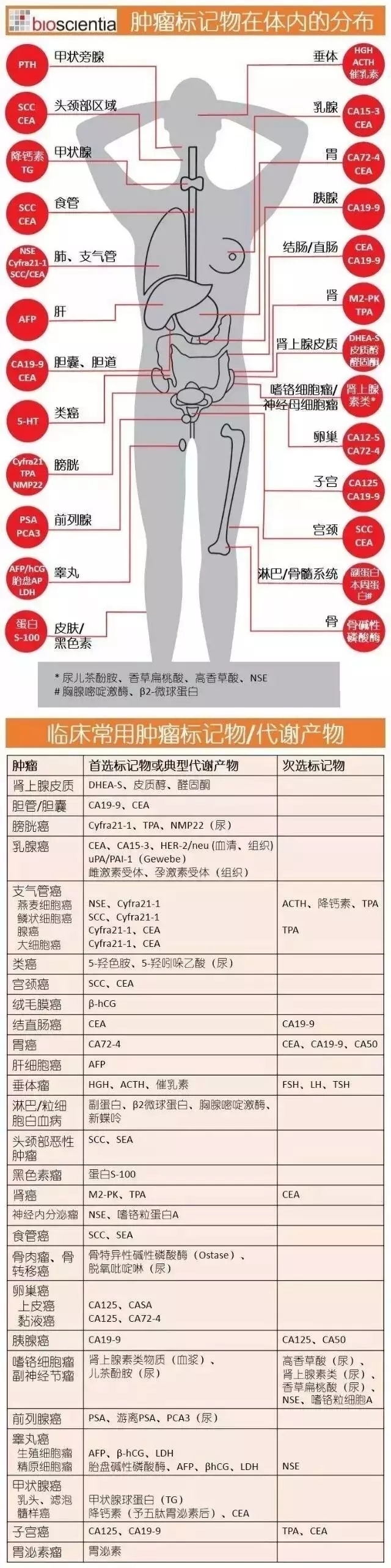 癌胚抗原是检查什么的08癌胚抗原是检查什么的