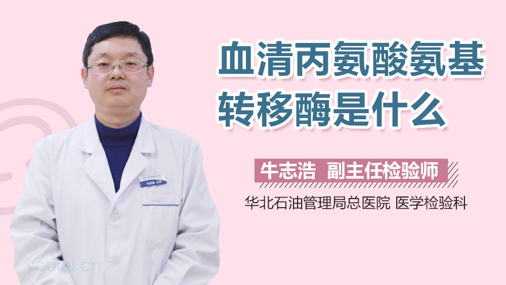 丙氨酸氨基转移酶是什么意思丙氨酸氨基转移酶