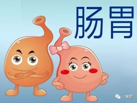 胃肠紊乱吃啥药效果好,胃肠紊乱