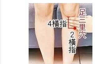 足三里的准确位置图片,足三里的准确位置图片主治