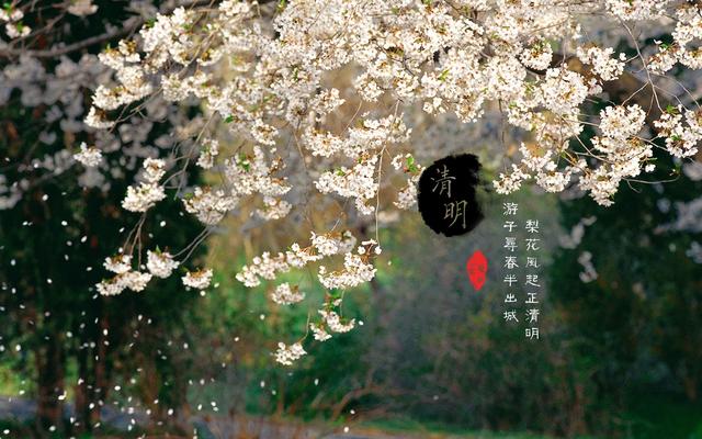 清明养生清明养生口诀