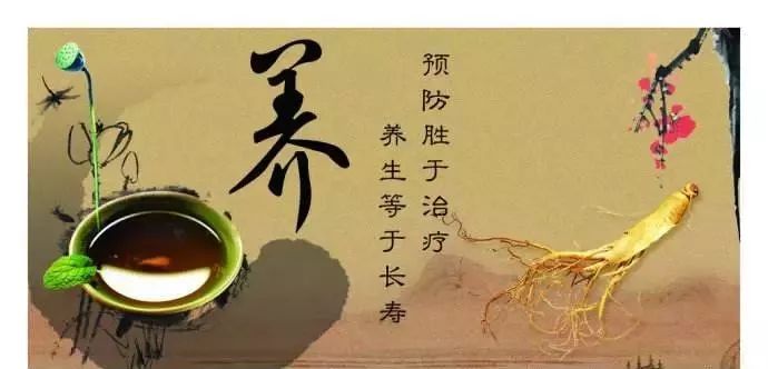 养生100条健康养生健康养生之道