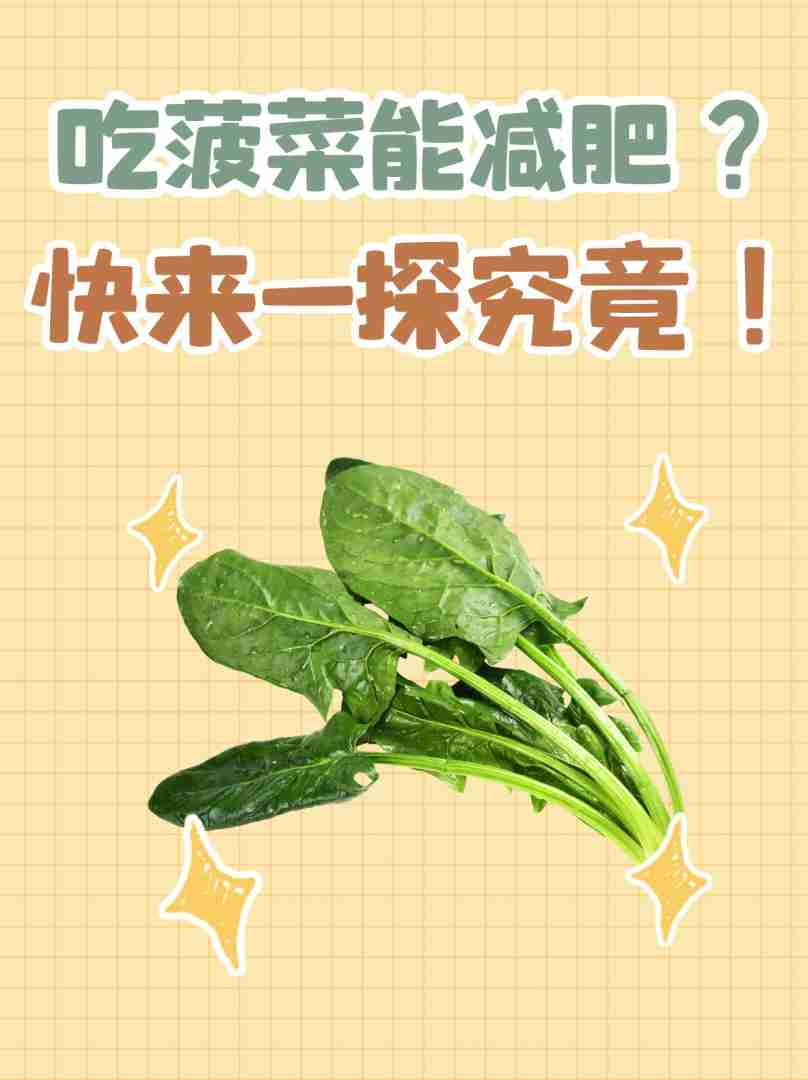 菠菜能减肥吗,每天吃菠菜能减肥吗